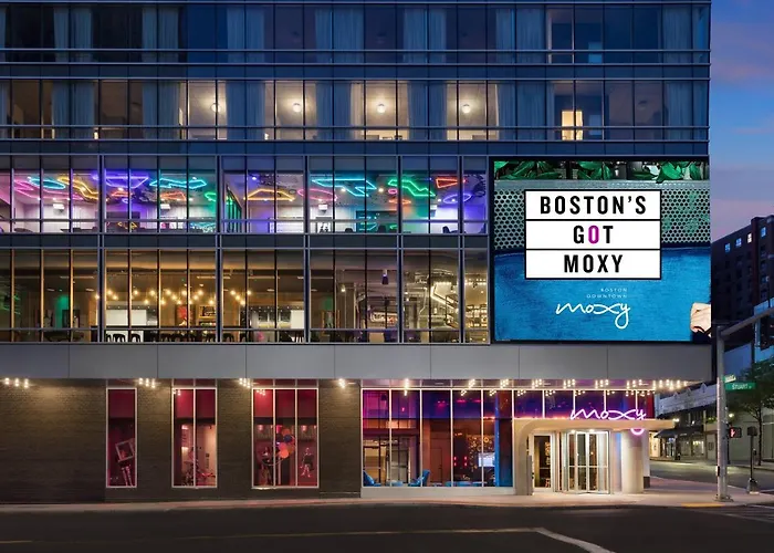 Dog Friendly Hotels BostonMoxy Downtown